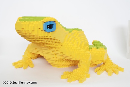 LEGO sculpture Sean Kenney harlequin tree frog philadephila philly zoo creatures of habitat