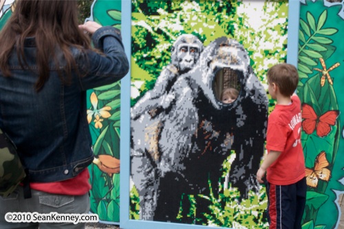 LEGO sculpture Sean Kenney western lowland gorilla mosaic mural face cutout philadephila philly zoo creatures of habitat