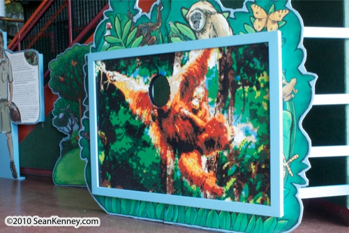 LEGO sculpture Sean Kenney orang orangutan gorilla primate mosaic mural face cutout monkey monkeys philadephila philly zoo creatures of habitat
