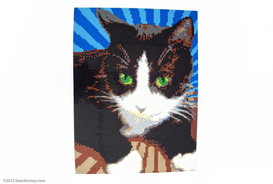 Photo of Professor Meowington