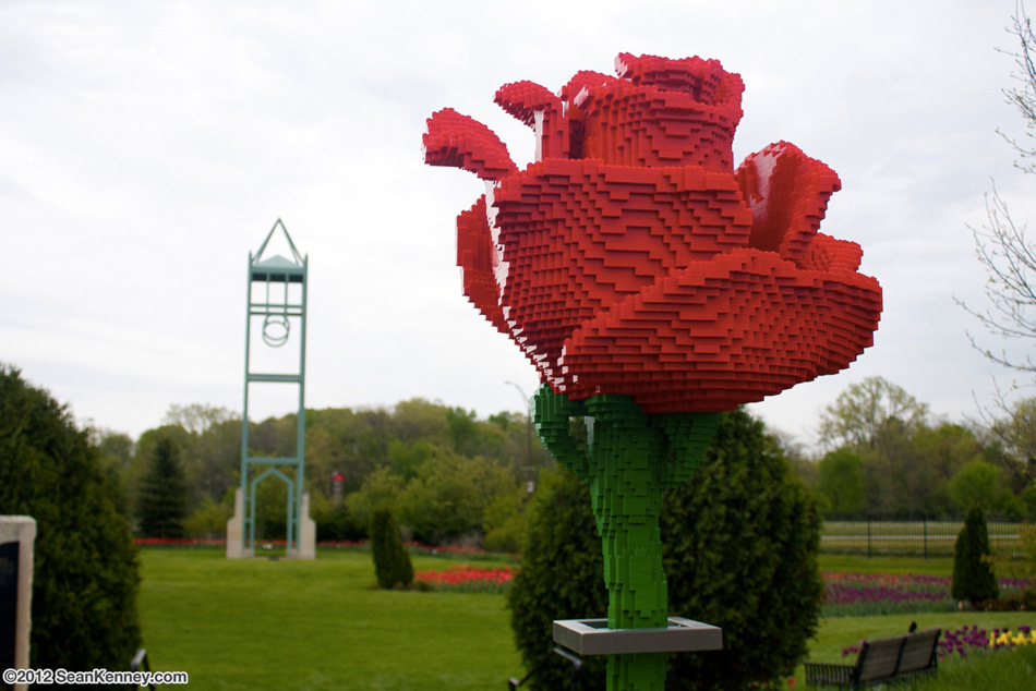 Photo of Rose