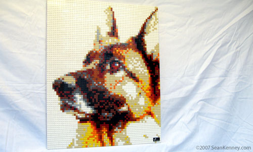 Photo of Zara the amazing LEGO dog